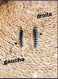Plumes de geai des chenes